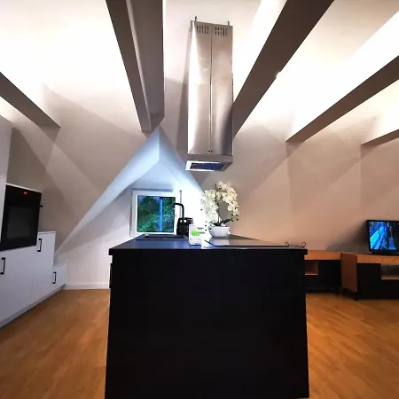 Διαμέρισμα Chillout Apart In The Attic Lwowek Slaski