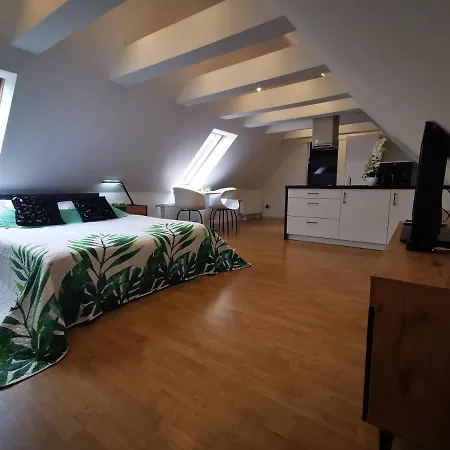 Διαμέρισμα Chillout Apart In The Attic Lwowek Slaski